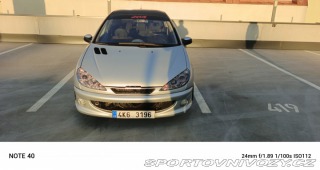 Peugeot 206 Quicksilver 2005
