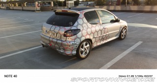 Peugeot 206 Quicksilver 2005