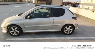 Peugeot 206 Quicksilver 2005