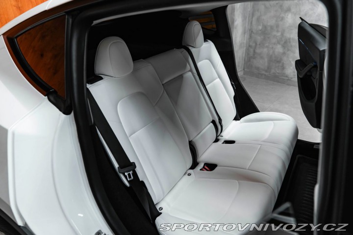 Tesla Model Y Performance Dual AWD, Aut 2023