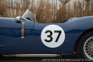 Ostatní značky Ostatní modely Buckler DD2 COVENTRY CLIMAX 1960