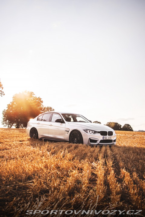 BMW 3 F30 2012