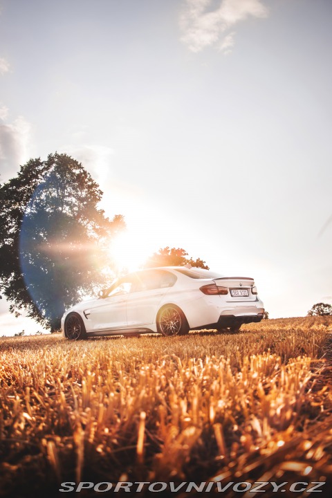 BMW 3 F30 2012