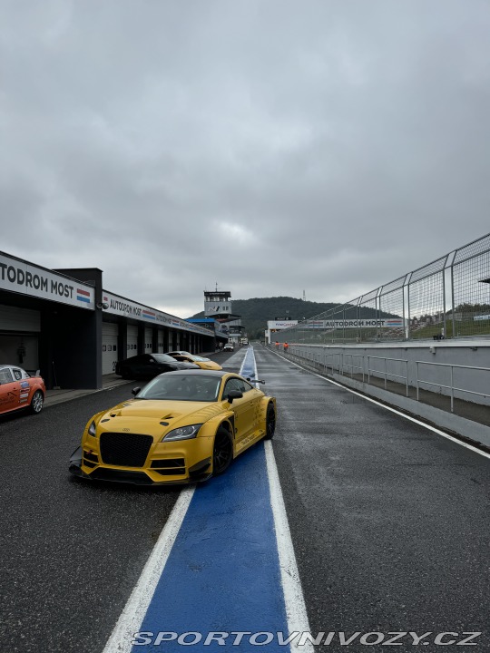 Audi TT TTS DTM 2024