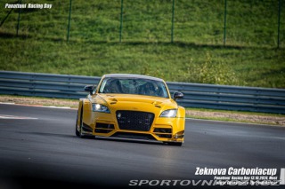 Audi TT TTS DTM 2024
