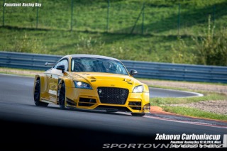 Audi TT TTS DTM 2024