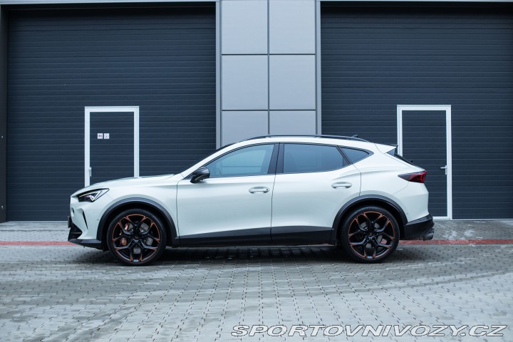 Cupra Formentor TAIGA GREY*VZ5*360/999* 2022