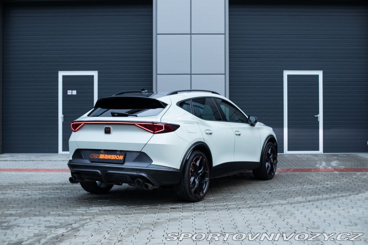 Cupra Formentor TAIGA GREY*VZ5*360/999* 2022