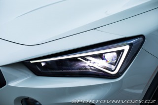 Cupra Formentor TAIGA GREY*VZ5*360/999* 2022