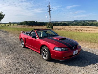 Ford Mustang GT Convertible V8