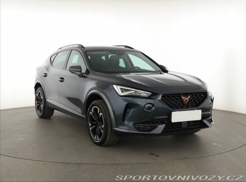 Cupra Formentor 2.0 TSI 4Drive
