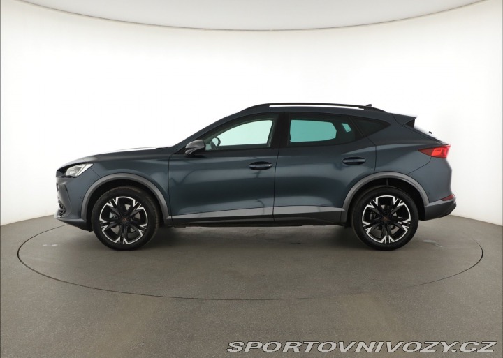Cupra Formentor 2.0 TSI 4Drive 2023