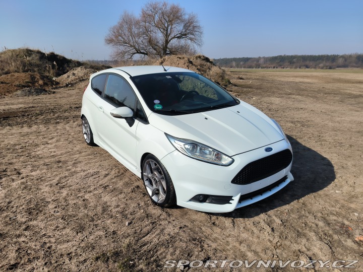 Ford Fiesta ST Fiesta ST180 2014