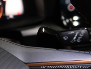 Cupra Leon 2.0 TSI 2024