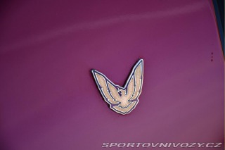 Pontiac Firebird 5.7L V8 24tis.KM ČR 1992