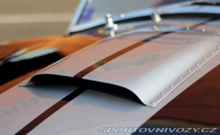 Ostatní značky Ostatní modely AC Shelby Cobra 2011