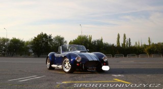Ostatní značky Ostatní modely AC Shelby Cobra 2011