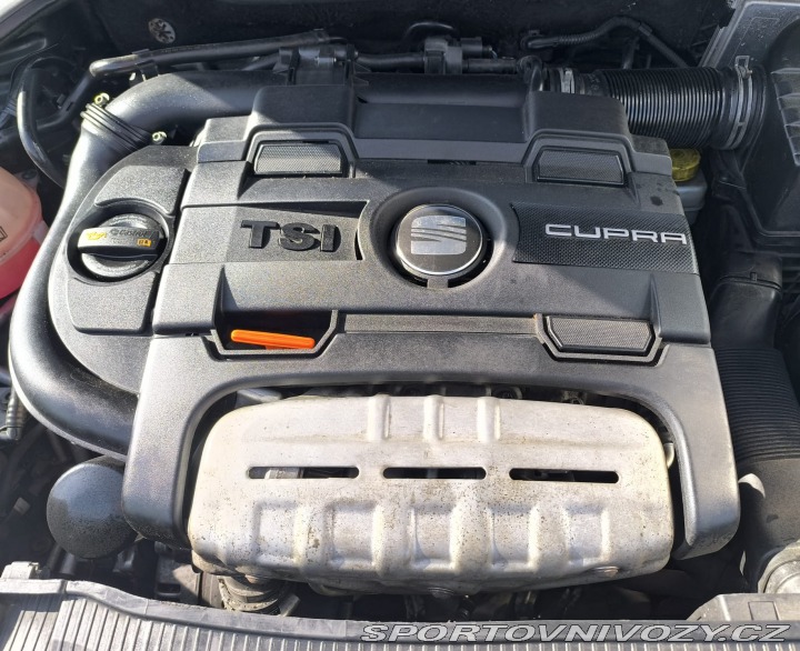 Seat Ibiza CUPRA 1.4 TSI 2010