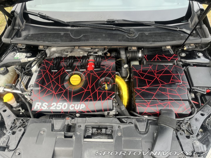 Renault Mégane RS 250 CUP 2011