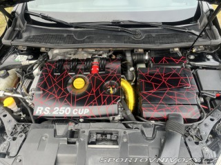 Renault Mégane RS 250 CUP 2011