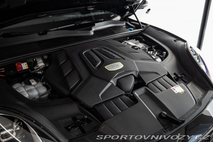 Porsche Cayenne E-Hybrid/Platinum Edition 2023