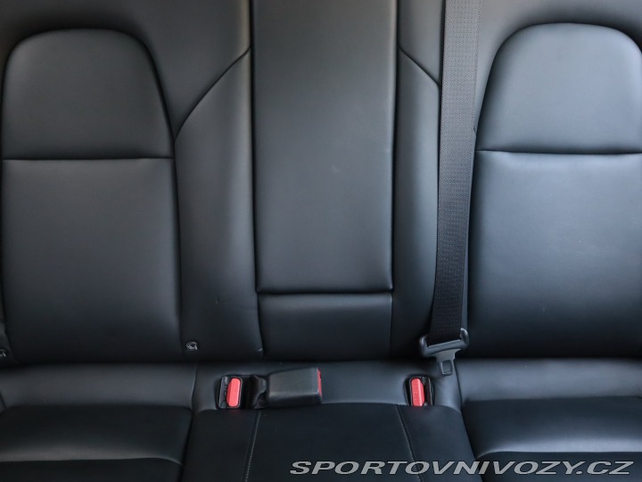 Tesla Model 3 Std Range Plus 52kWh 2019