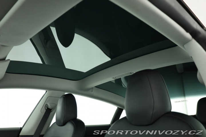 Tesla Model 3 Std Range Plus 52kWh 2019