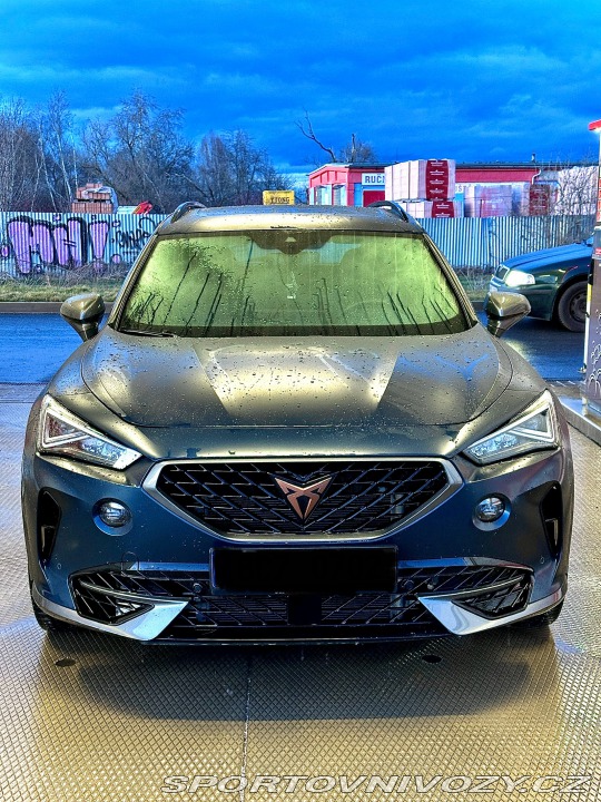 Cupra Formentor VZ310 2021