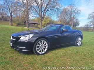 Mercedes-Benz SLK R172 2011