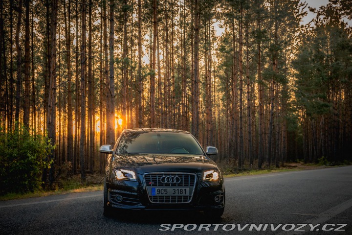Audi S3 2009
