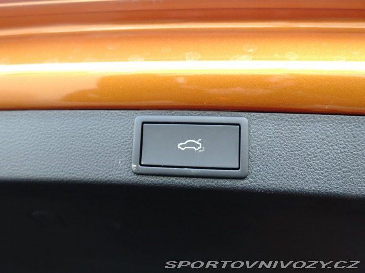 Škoda Octavia RS RS RS 2.0 TSI 2024