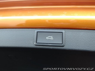 Škoda Octavia RS RS RS 2.0 TSI 2024