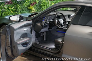 Audi RS e-tron GT RS Laser PPF HUD Carbon B 2021