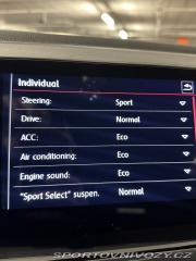 Volkswagen Polo GTI 2019
