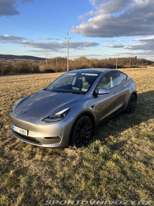 Tesla Model Y Performance