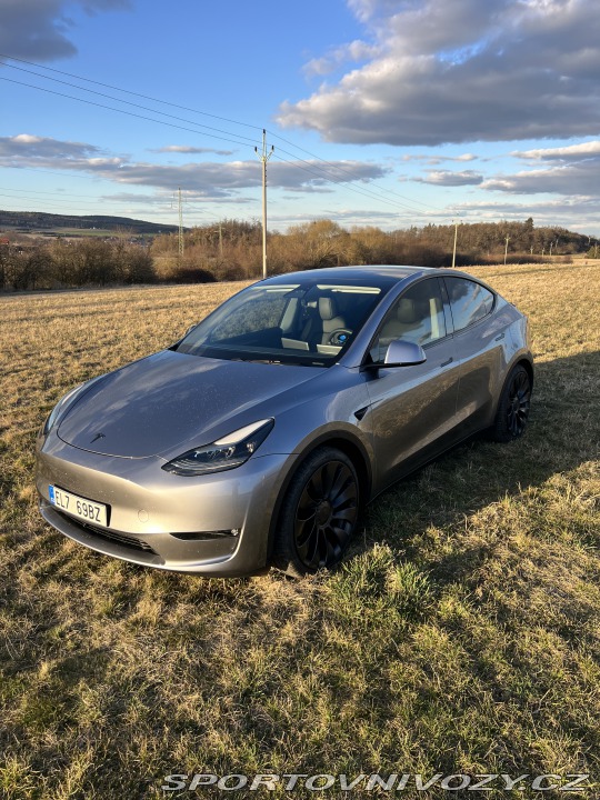 Tesla Model Y Performance 2024