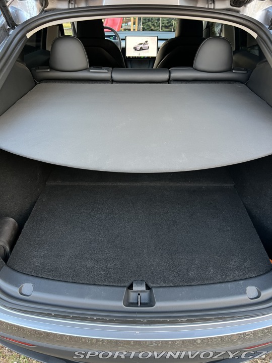 Tesla Model Y Performance 2024