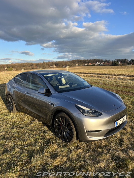 Tesla Model Y Performance 2024