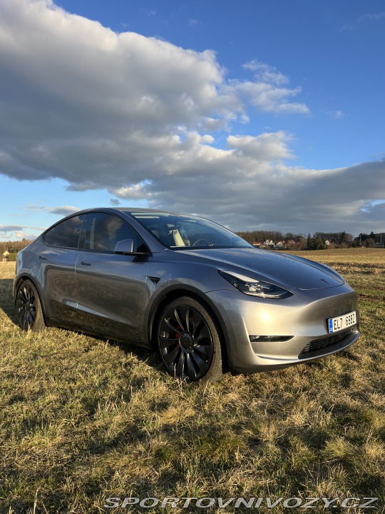 Tesla Model Y Performance 2024