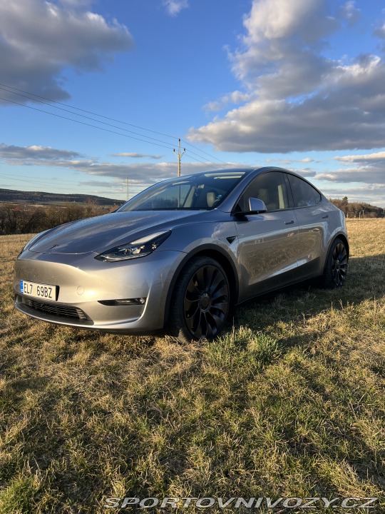 Tesla Model Y Performance 2024
