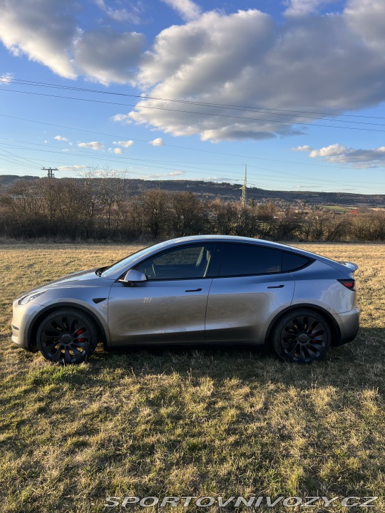 Tesla Model Y Performance 2024