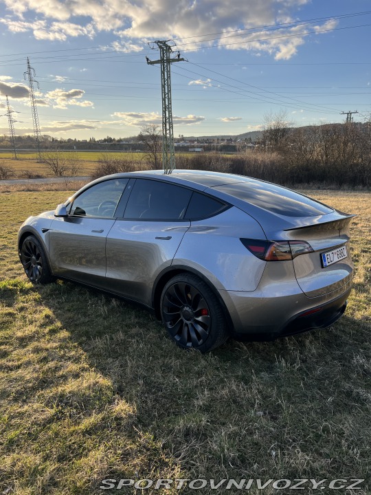 Tesla Model Y Performance 2024