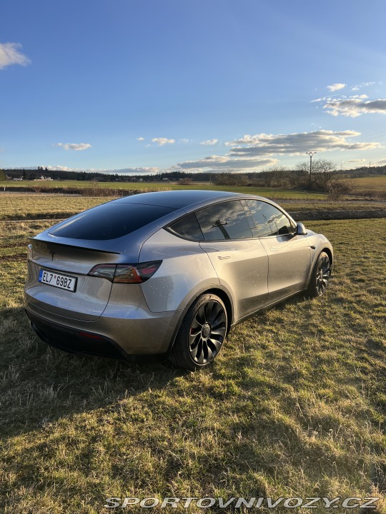 Tesla Model Y Performance 2024