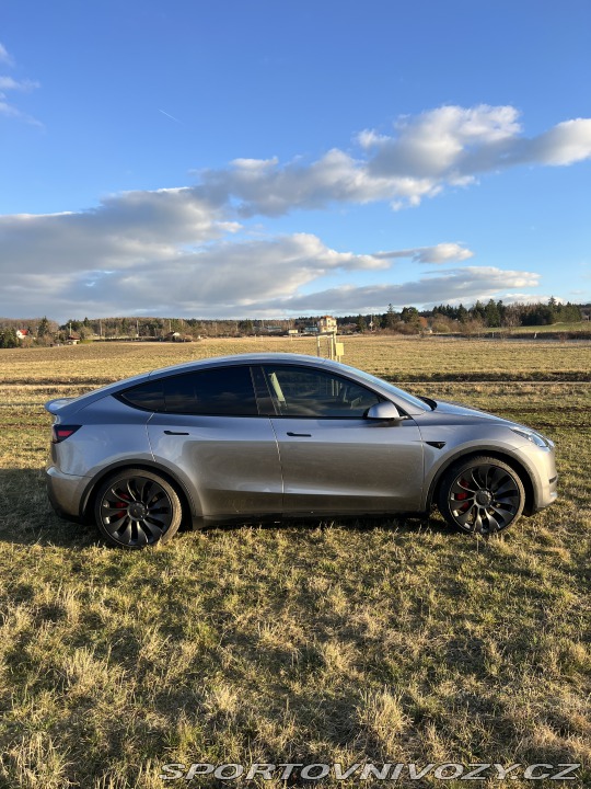Tesla Model Y Performance 2024