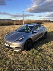 Tesla Model Y Performance 2024