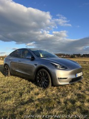 Tesla Model Y Performance 2024