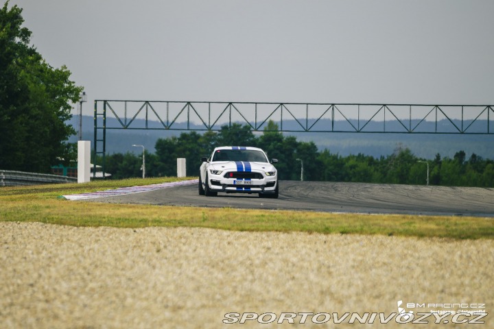 Ford Mustang Shelby GT350 2019