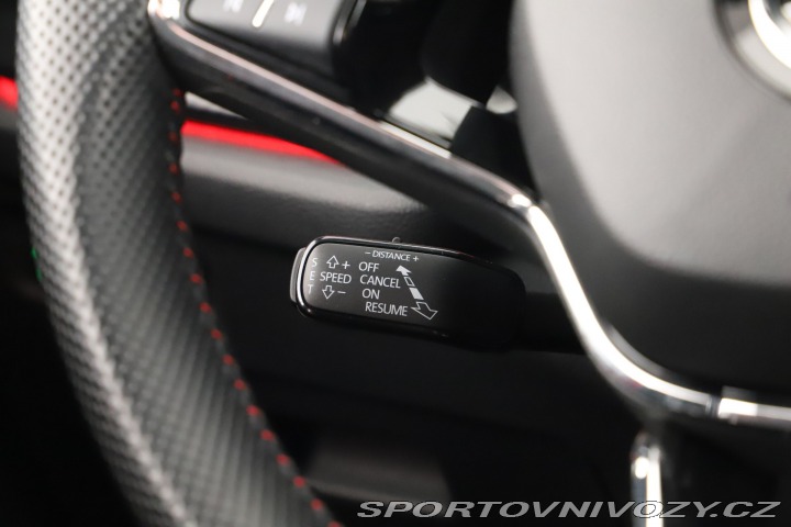 Škoda Octavia RS RS RS 2.0 TSI 2024