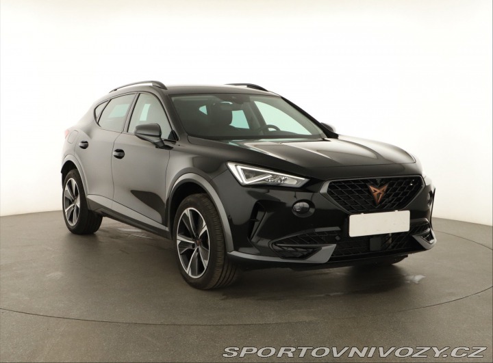 Cupra Formentor 2.0 TSI 4Drive 2023