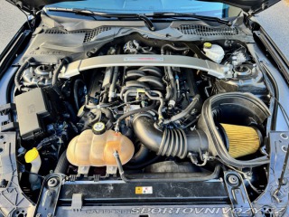 Ford Mustang 5.2L GT350 Shelby,392kw 2019